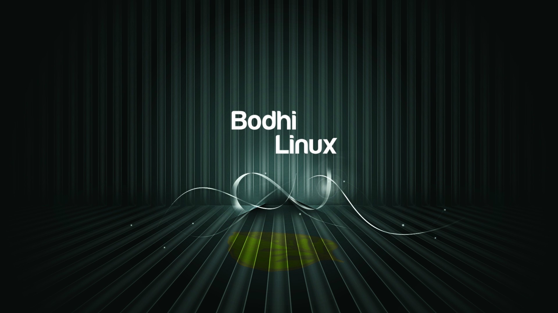 bodhi linux image 2