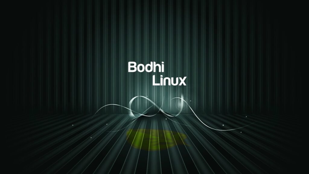 bodhi linux image 2