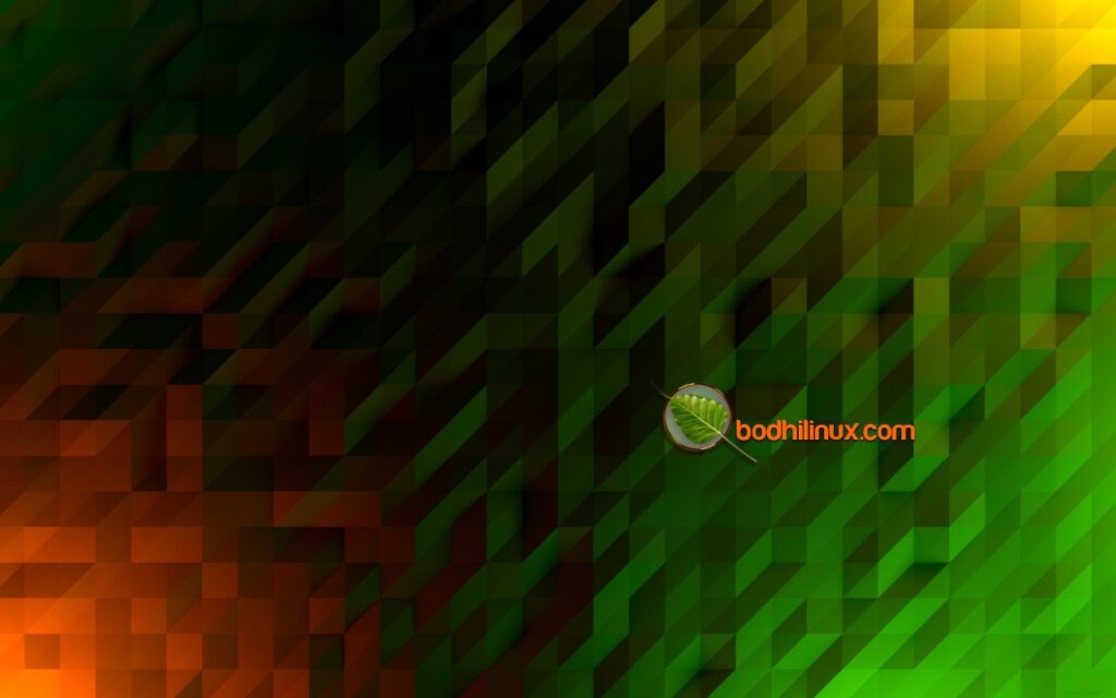 Bodhi Linux image 1